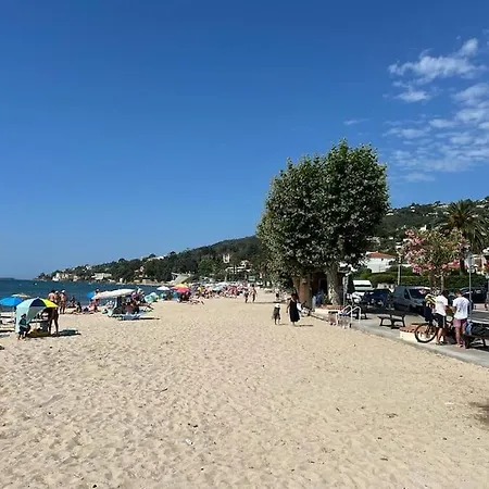 Tres Bel Sur La Avec Grande Terrace Face A La Mer! La Goelette Lägenhet